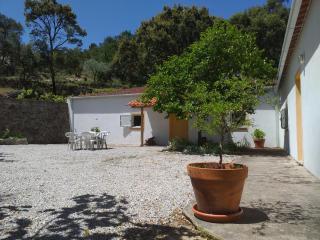 Quinta da Barroquinha - Vale de Prazeres - 6