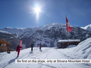 Silvana Mountain Hotel - Zermatt - 8