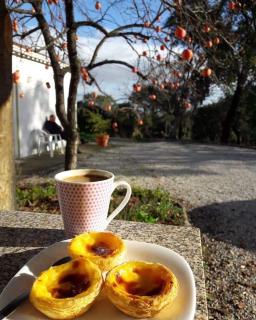 Quinta da Barroquinha - Vale de Prazeres - 4