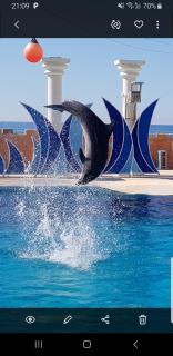 Granada City Alanya Luxury Appartment 800м от пляжа Клеопатра - Alanya - 3