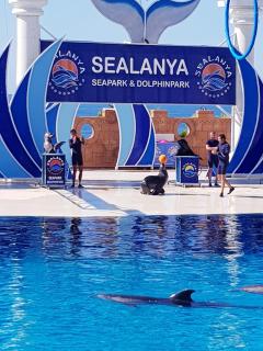 Granada City Alanya Luxury Appartment 800м от пляжа Клеопатра - Alanya - 5