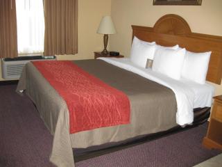 Comfort Inn & Suites and Suites Fredericksburg - Fredericksburg - 8