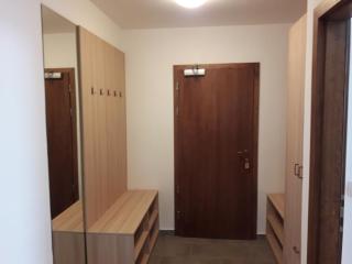 Simnovi apartmaji - surrounded by nature - 1