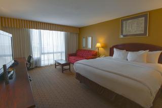 MCM Elegante Hotel & Suites Lubbock - Lubbock - 8