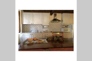 Tugninello Rustic Stone House - Vagli di Sotto - 9