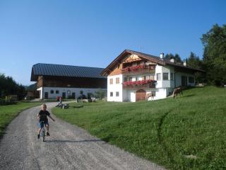 Gastreinhof - 1