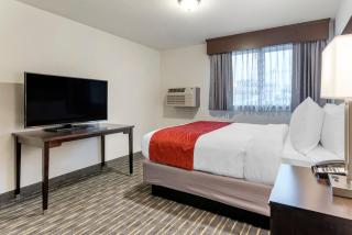 Comfort Inn & Suites Tigard near Washington Square - Tigard - 4