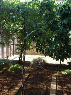 Apartmani Svetina - Vodice - 5