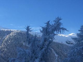 Chalet Memory - Zermatt - 8