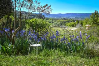 Domaine Lou Amì - 6