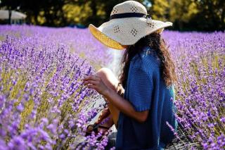 L'Oustaou du Luberon et SPA - Villelaure - 4