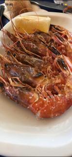 Duquesa Coto Real - 2