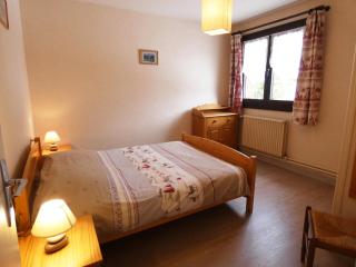 Chalet les Ombrettes - 3