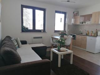 Apartmani Starovla - Zlatibor - 2