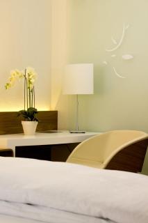 Hôtel-Restaurant du Cerf - 4