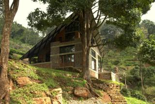 O'Land Plantation - Kolakambe - 7