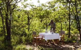 Simbavati Trails Camp - Timbavati Game Reserve - 1