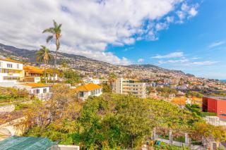 Flowers Island house 2 - Funchal - 6