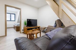 Apartment NESS - Boží Dar - 1
