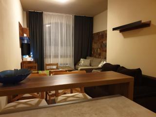 Apartment 7 Donovaly, AD Kamzík - Donovaly - 9