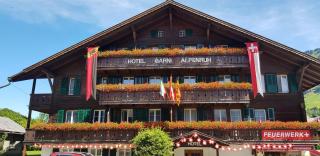 Hotel Garni Alpenruh - Lenk - 3