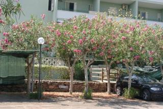 Baia Verde house 88 - Gallipoli - 2