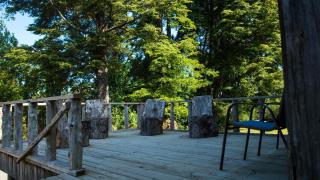 Casa Bosque Chiloé - 9