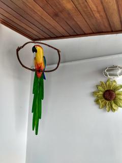 Cobertura em Cabo Frio - 2