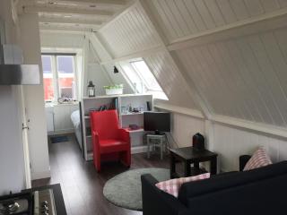 B&B Alkmaars Toppunt - Alkmaar - 2
