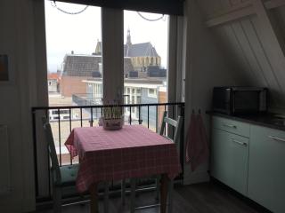 B&B Alkmaars Toppunt - Alkmaar - 1