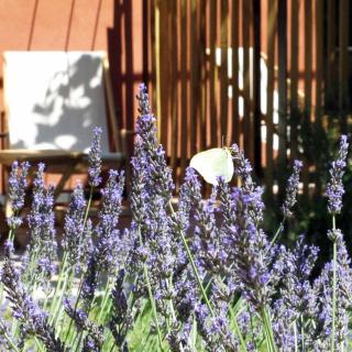 Les Pierres Sauvages - Besse-sur-Issole - 0