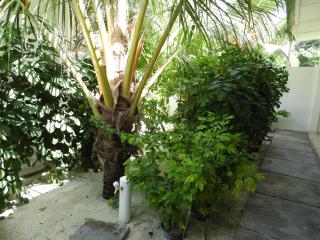 Karaa Village - 8