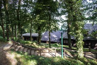 Waldhaus Anne - Nideggen - 9