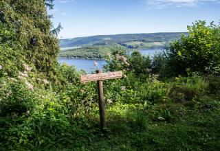 Waldhaus Anne - Nideggen - 6