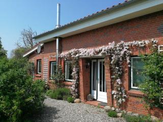 Ferienhaus EXTRAZEIT_URLAUB - Hasselberg - 0
