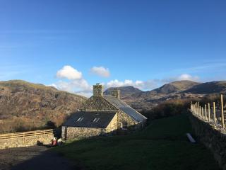 Gellibant Cottage - Llanbedr - 1
