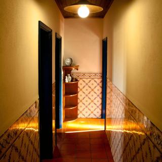 Quinta do Chãozinho - Alijó - 4