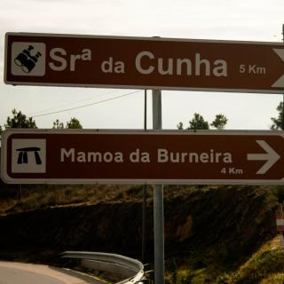 Quinta do Chãozinho - Alijó - 9