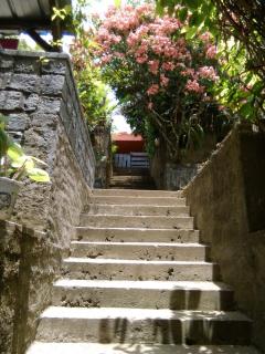 LA MARINA - 8