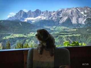 Appartements Wilma - Schladming - 7