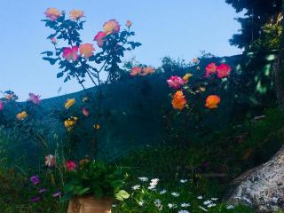 Ermones Odyssesas Bungalow - Vátos - 7