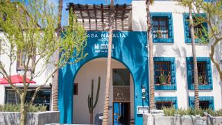 Casa Natalia Boutique Hotel Adults Only - San José del Cabo - 4