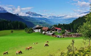 Erlebnishof Tschabitscher - 0