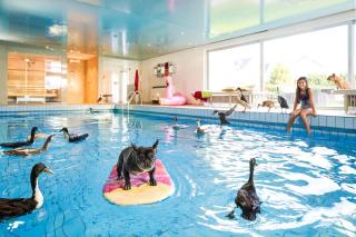 Landhotel Fettehenne - Leverkusen - 8