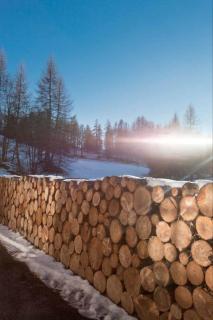 IRIS TOP 3 DESIGN APARTMENT - Bad Kleinkirchheim - 1