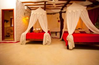 Casa Las Tortugas Petit Beach Hotel & Spa - Holbox Island - 5