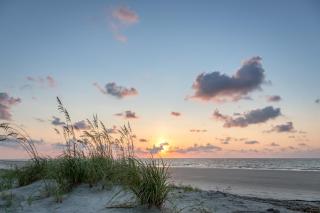 Windsor Court North - Hilton Head Island - 0