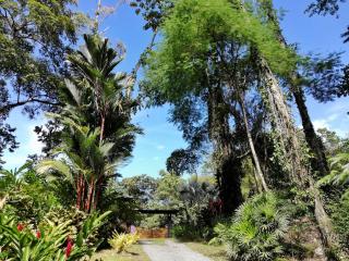 Geckoes Lodge - Cocles - 4