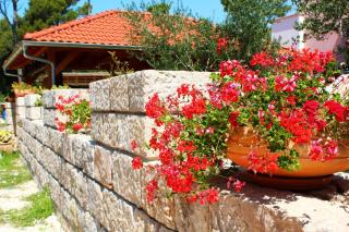BUNGALOW VICE with pool - Pakoštane - 6