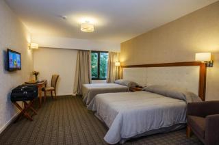 Hotel Provincial - Sierra de la Ventana - 9